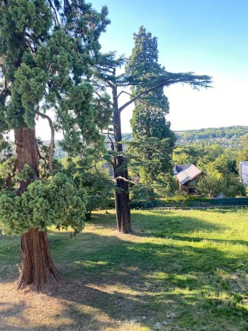 Studio Tres Agreable A Chessy Εξωτερικό φωτογραφία